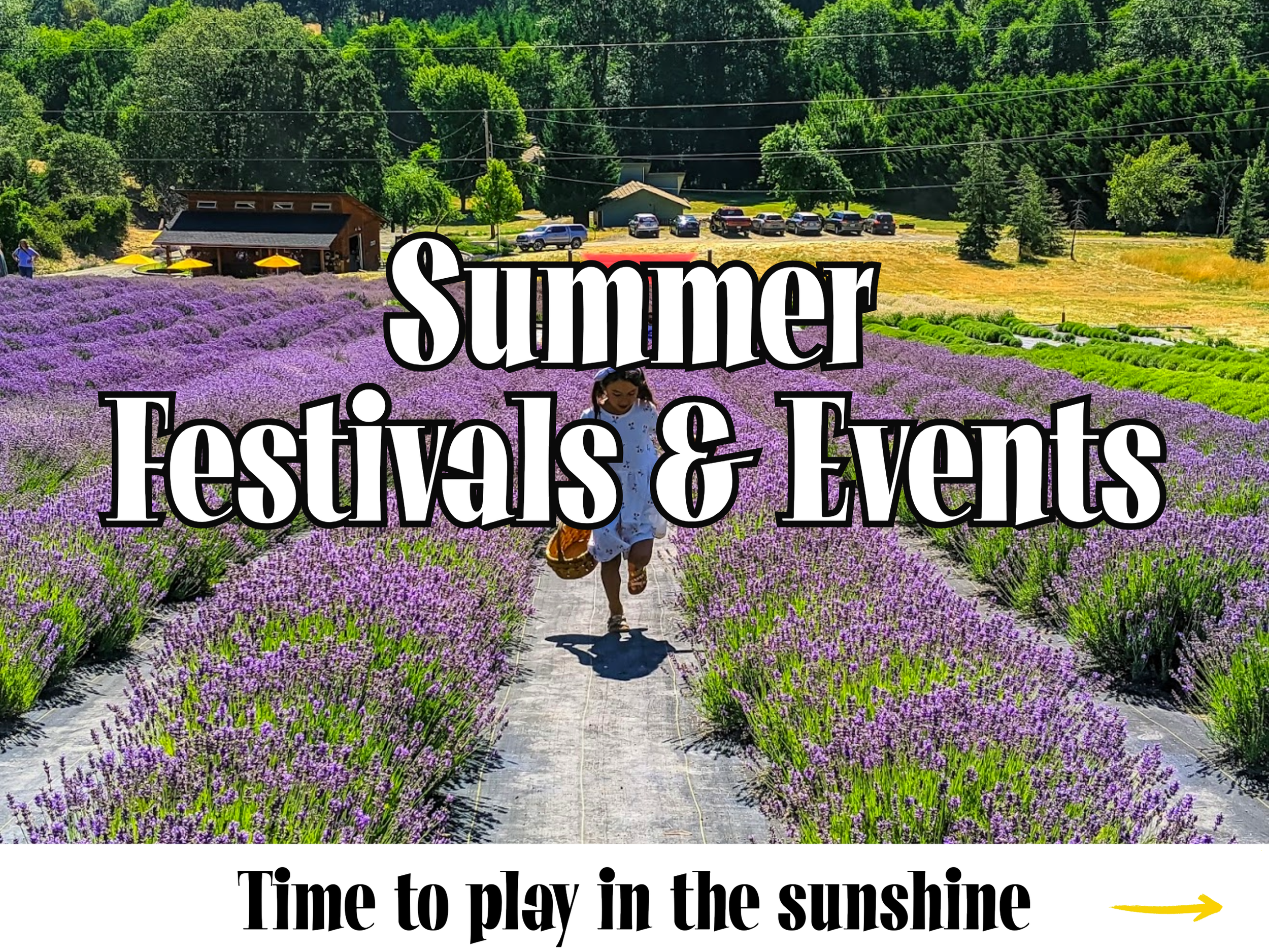 Summer Festivals Website Graphic.png