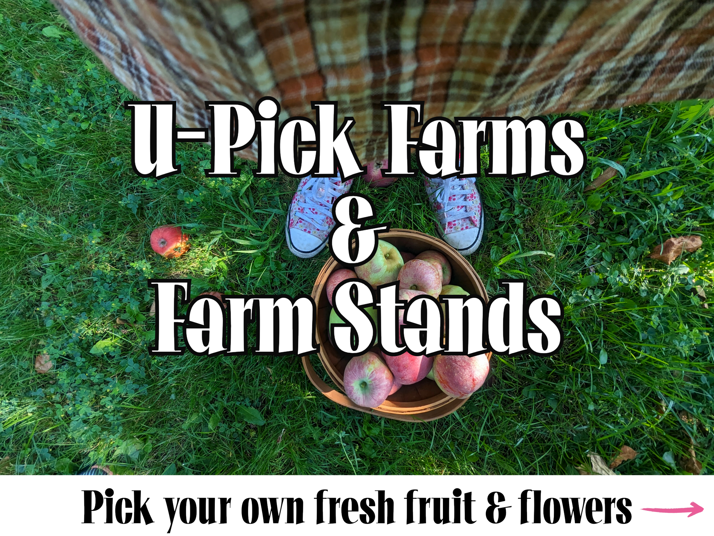U-Pick Farms Website Graphic.png