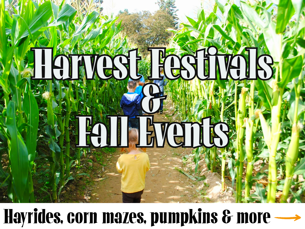 Harvest Festivals Website Graphic (1).png
