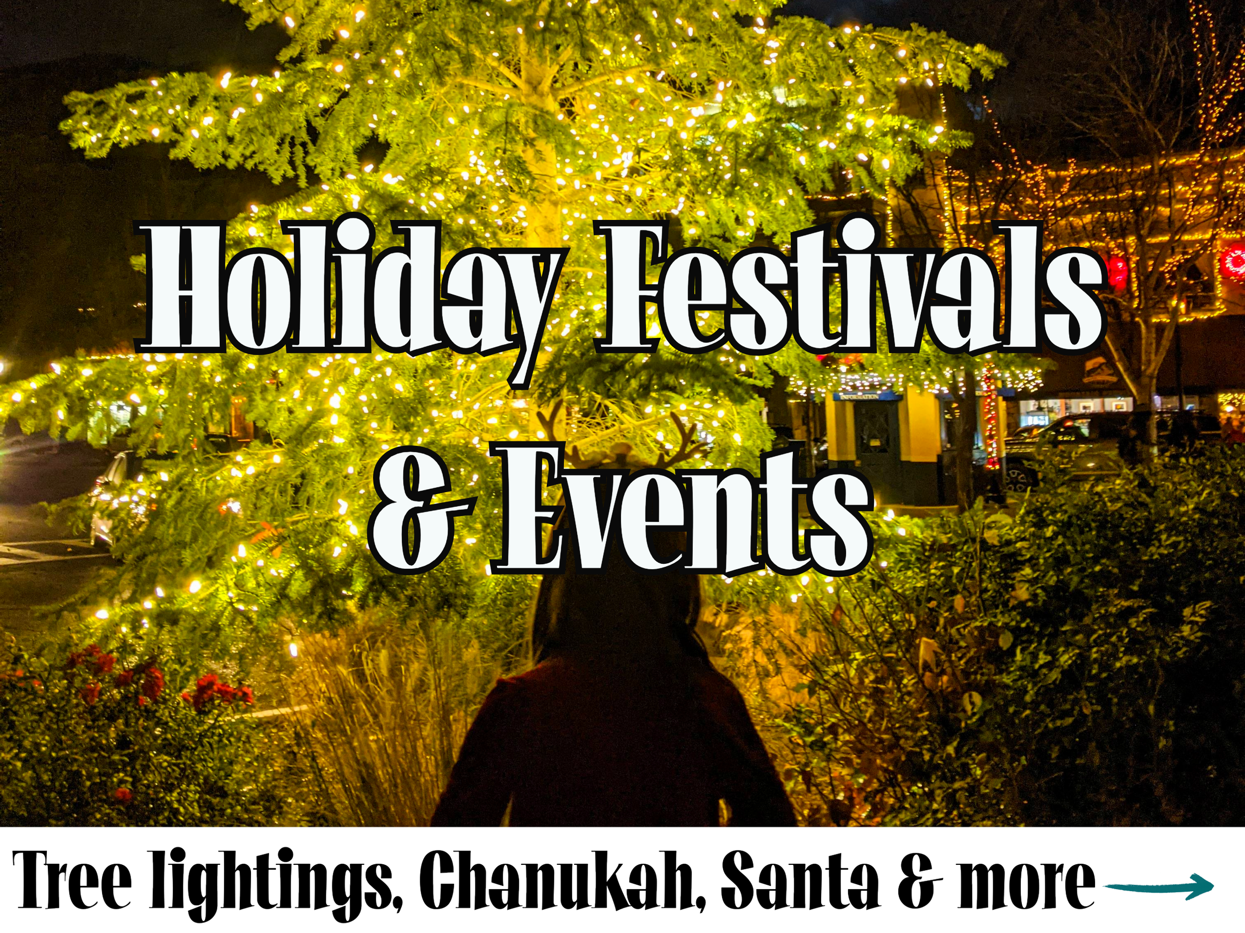 Winter Festivals Website Graphic (1).png