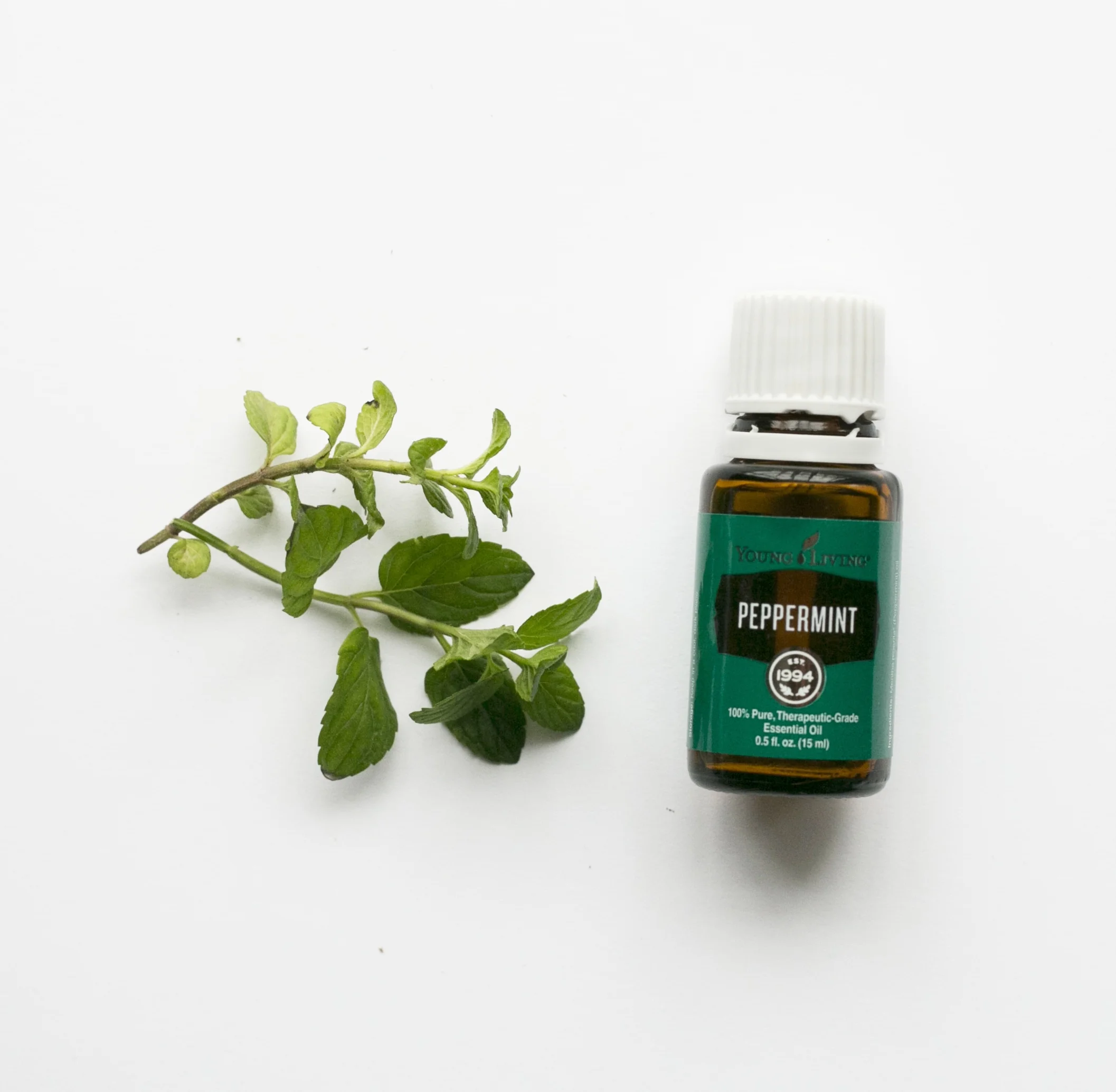 OILZ_34 - Version 2.jpg