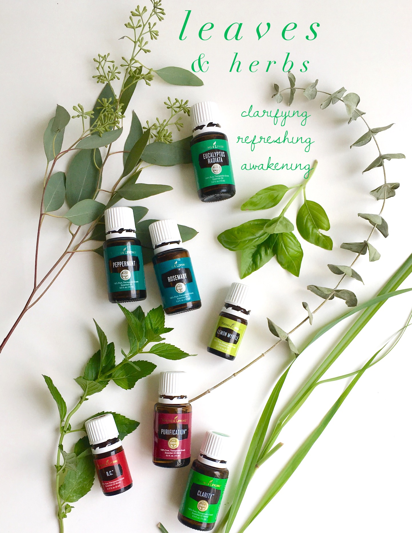 Peppermint, Rosemary, Eucalyptus, Lemon Myrtle are all wonderful herb-oils. Purification, R.C. and Clarity are blends.