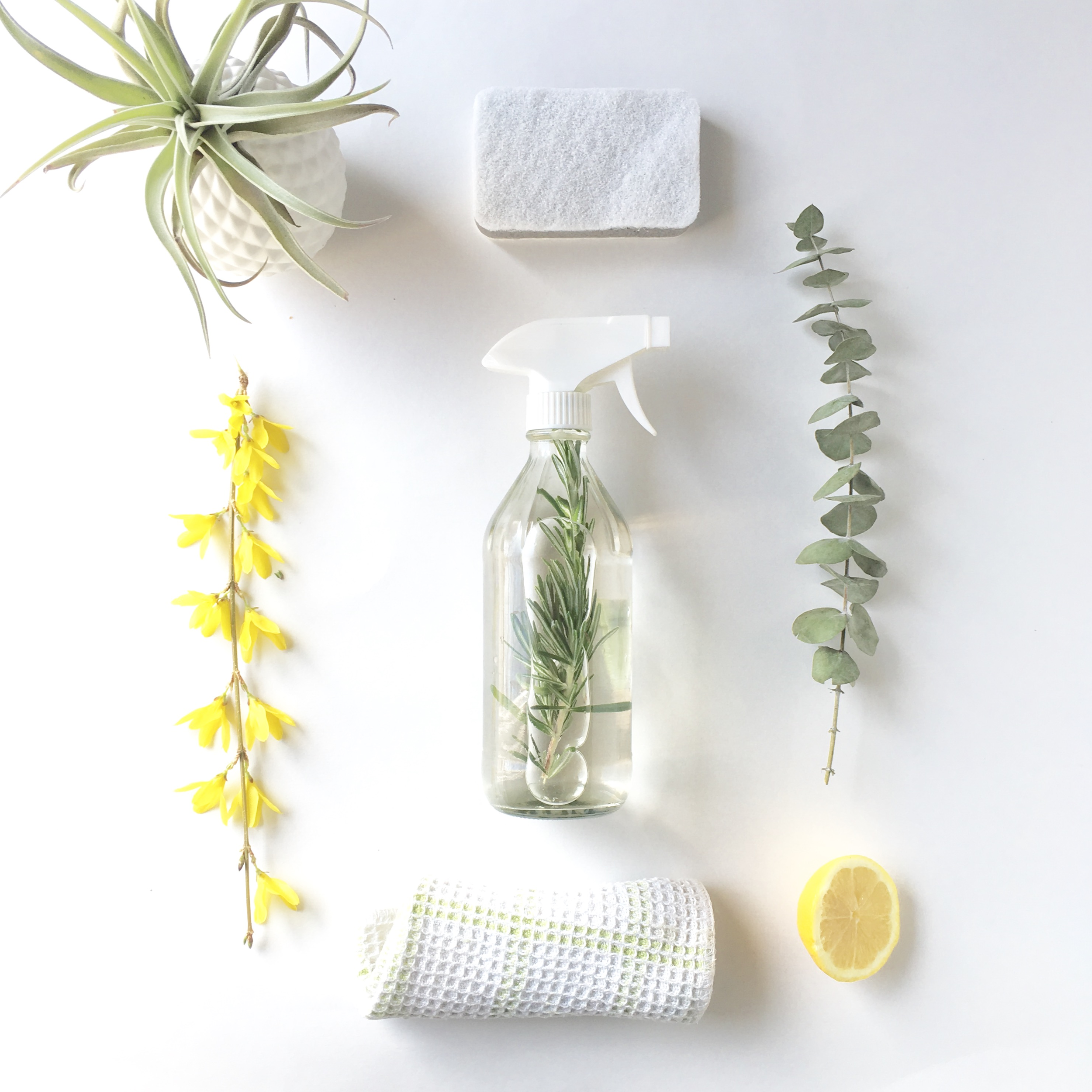 cleaning-lemon-euc.png
