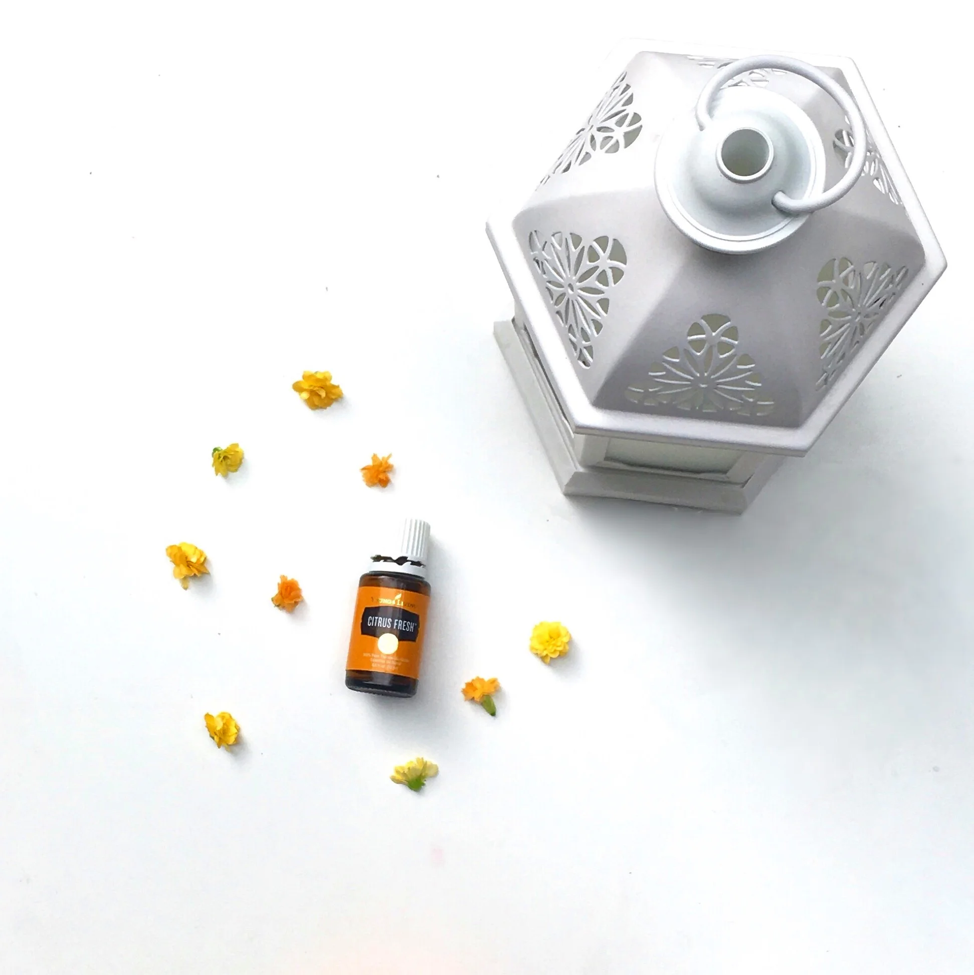 citrus-diffuser.jpg