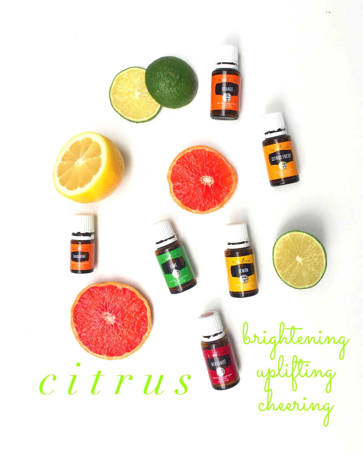 Orange, Citrus Fresh, Tangerine, Lime, Lemon, and Bergamot are all single oils. Citrus Fresh is a blend of citrus oils.