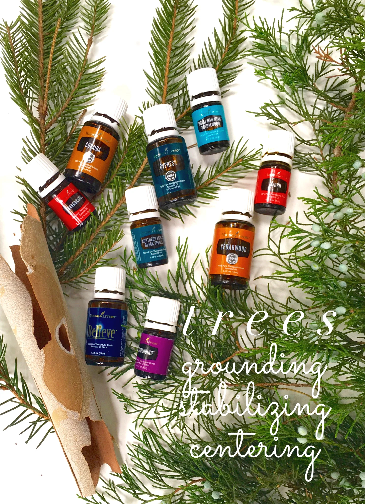 Frankincense, Copaiba, Cypress, Royal Hawaiian Sandalwood, Myrrh, Northern Lights Black Spruce, and Cedarwood are all wood oils, and Believe and Grounding are blends of several wood oils.