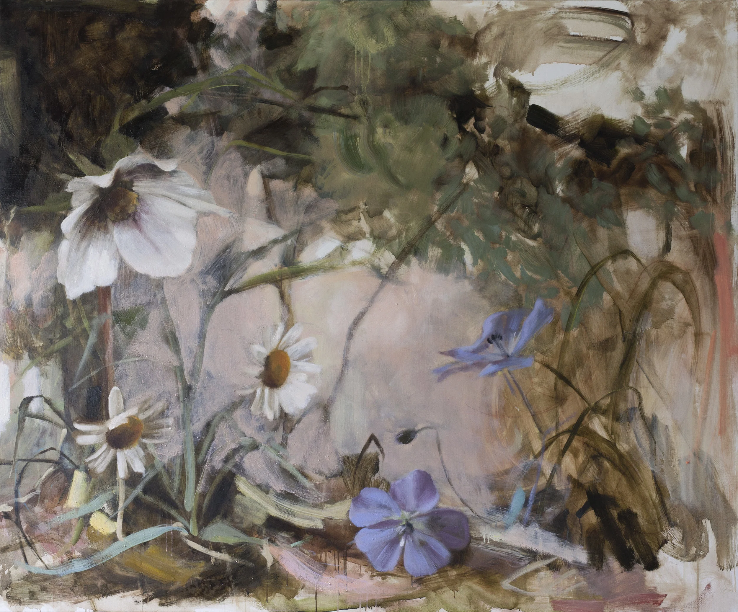 Morgan_Allender_Blue_Geraniums_2500.jpg