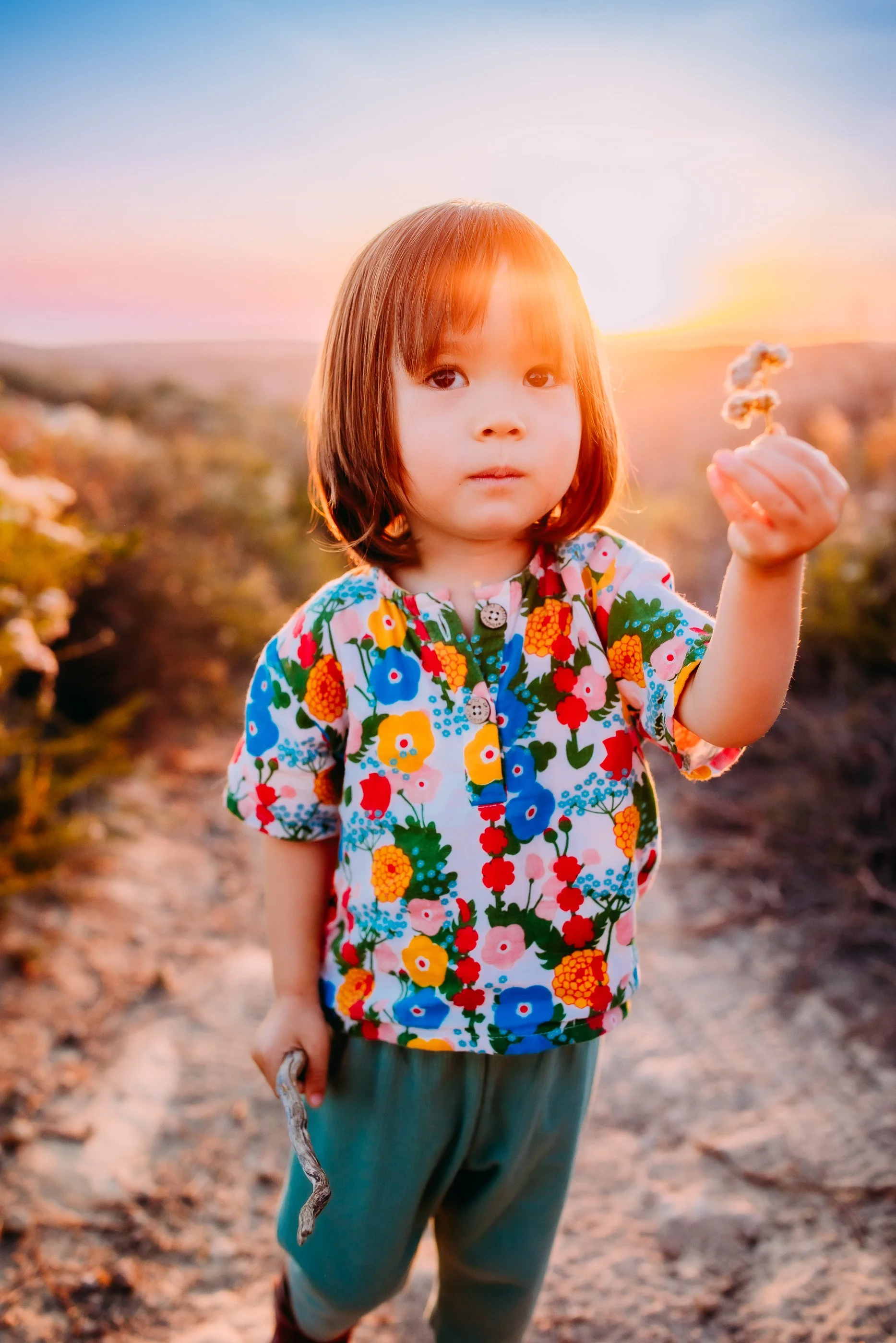little boy showing his desert flower to the camera during his sunset family photo session in Laguna Beach, California