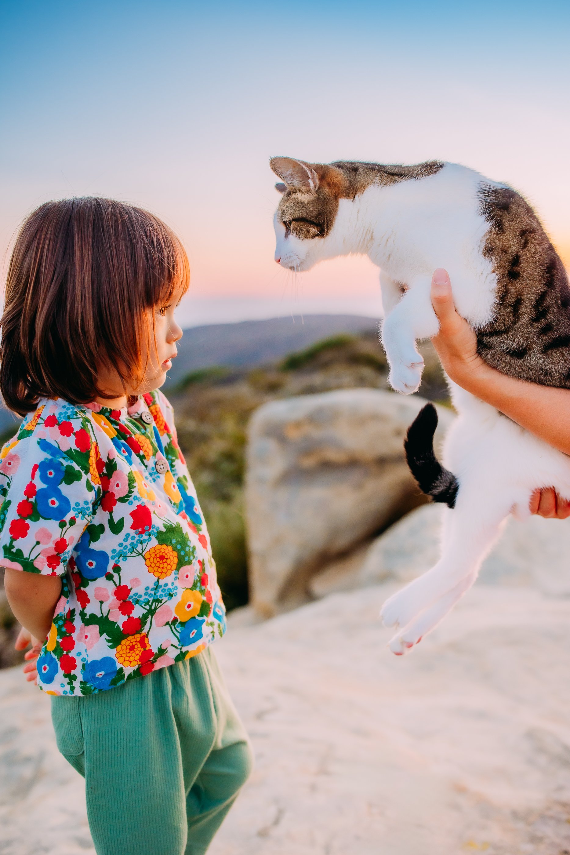 little boy and his pet cat at their family photo session at sunset in Laguna Beach, California