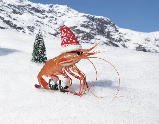 1 January Snowboarder Medium.jpeg