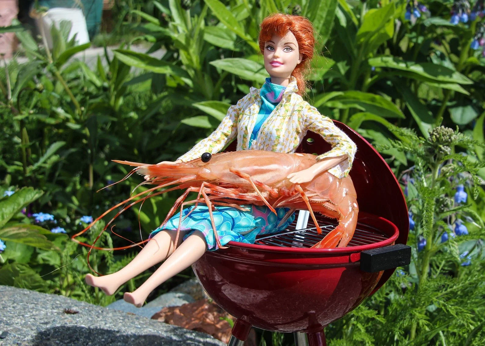 SHRIMP barbie.jpg
