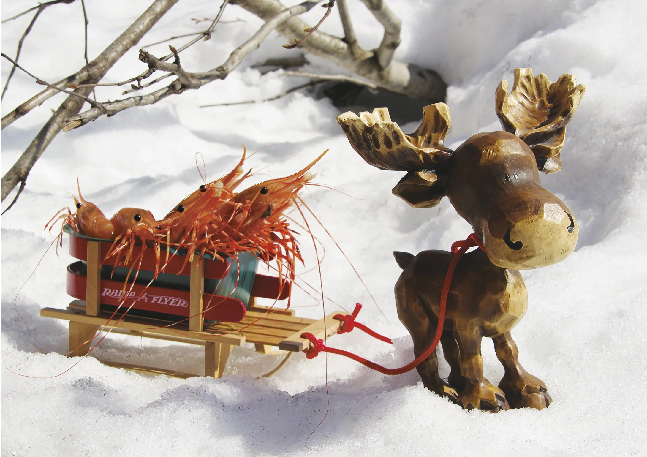 shrimp moose card holiday snow .jpg