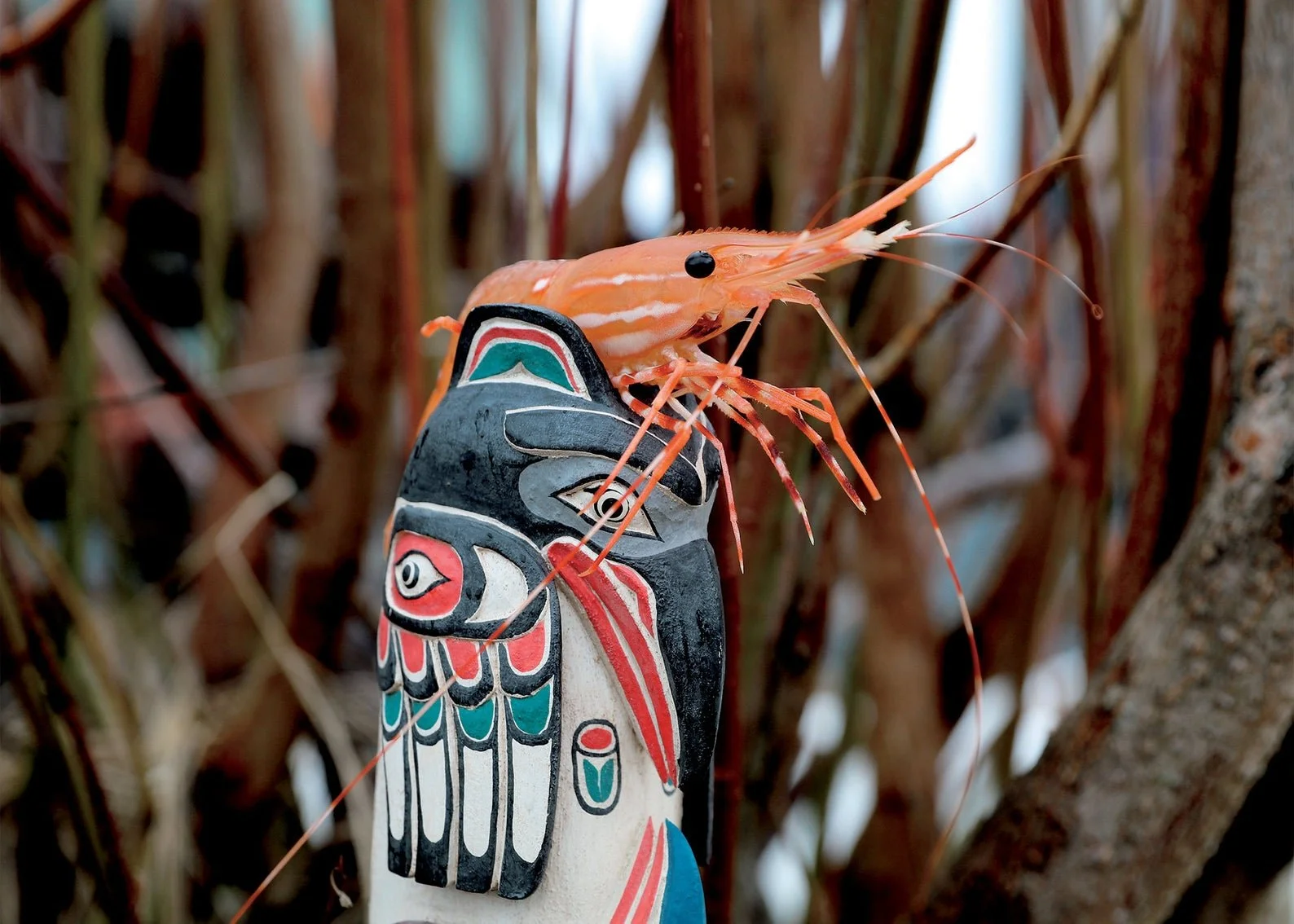 SHRIMP totem .jpg