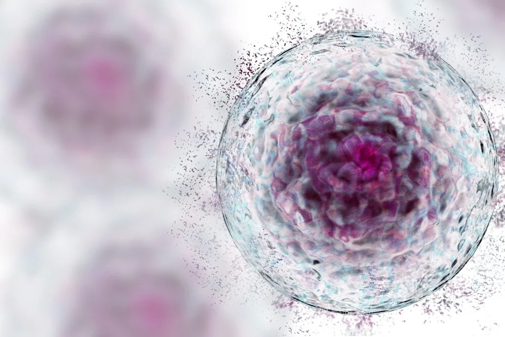 Stem-Cell-Myths.jpg