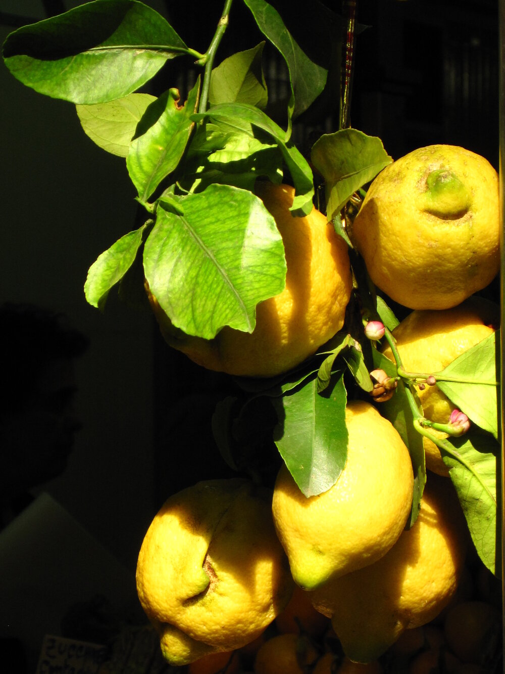 Lemons at Marcato Centrale - Florence