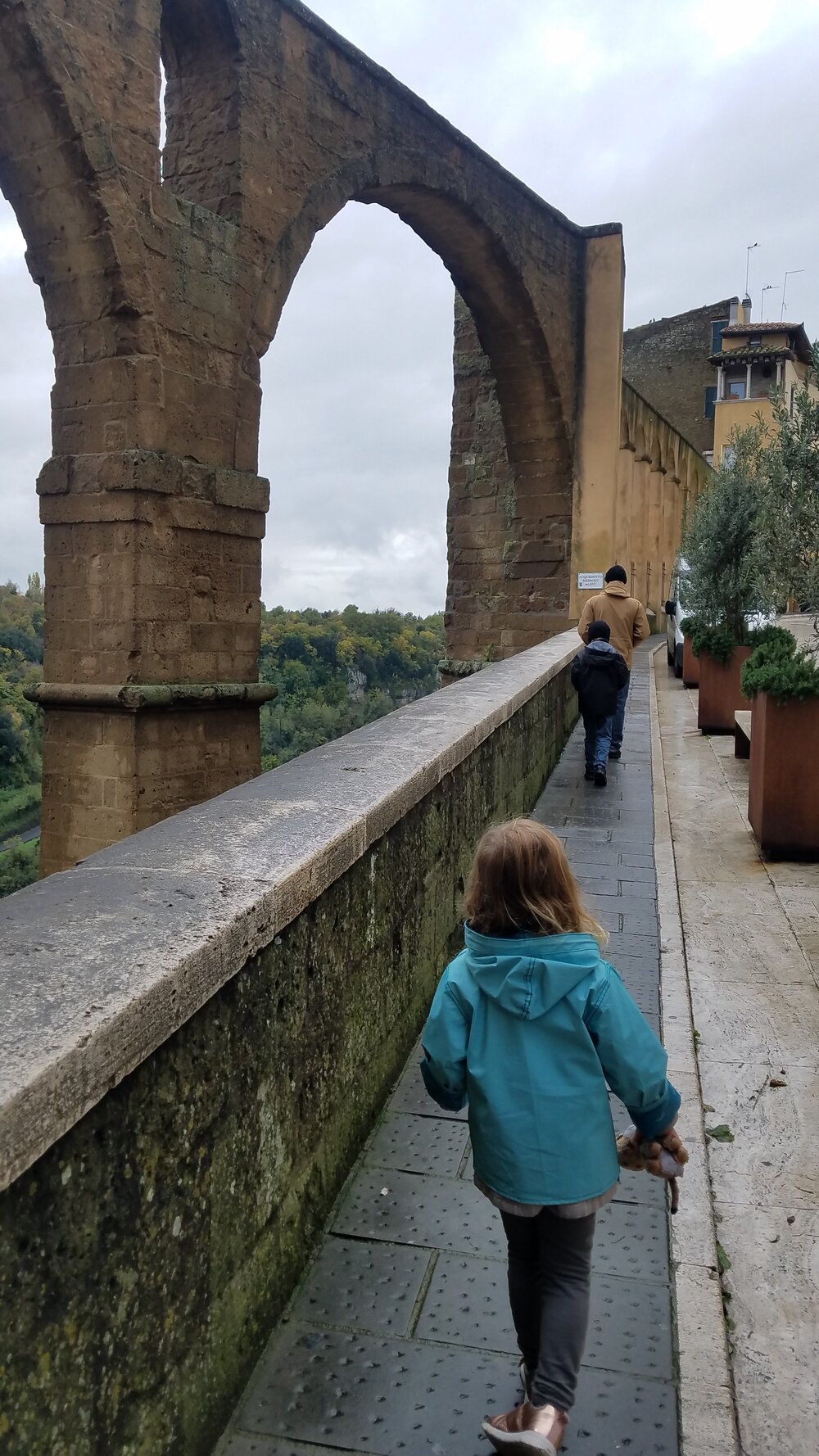 Medici Aqueduct 