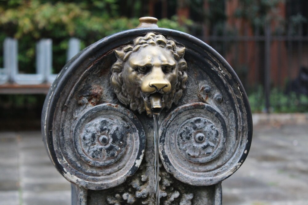 Fountain detail - Campo San Zaccaria
