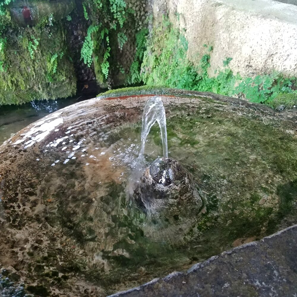 Fountain detail - Villa d'Este