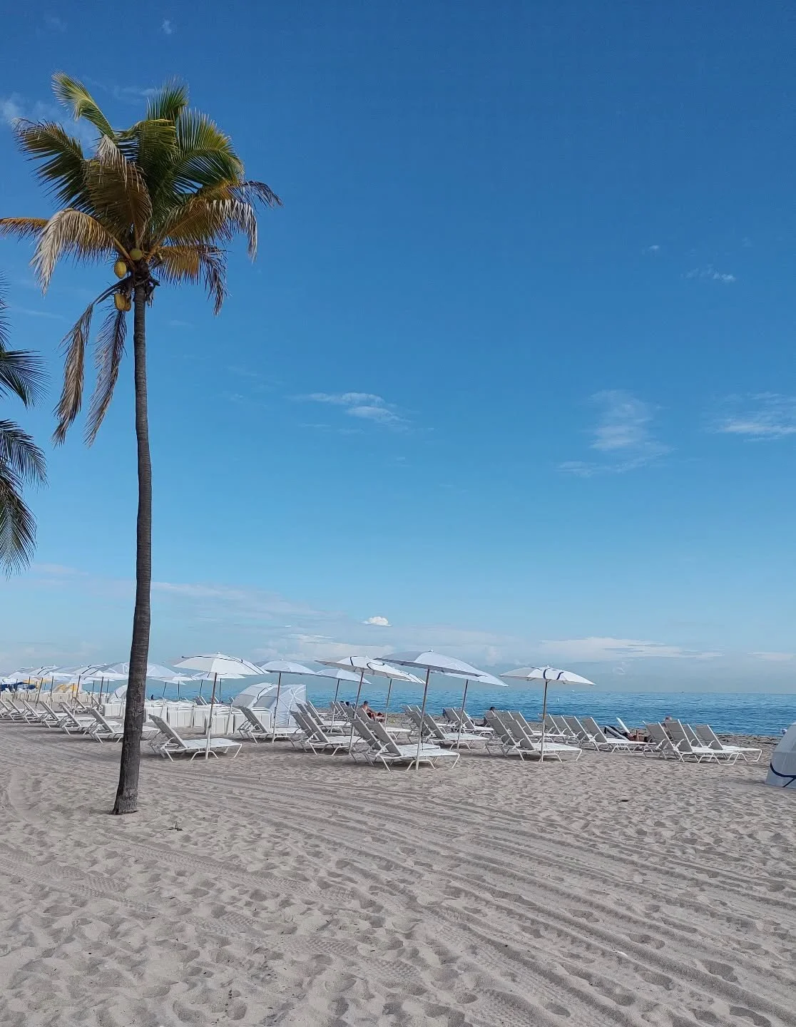 Florida 🩵so good to see the sea