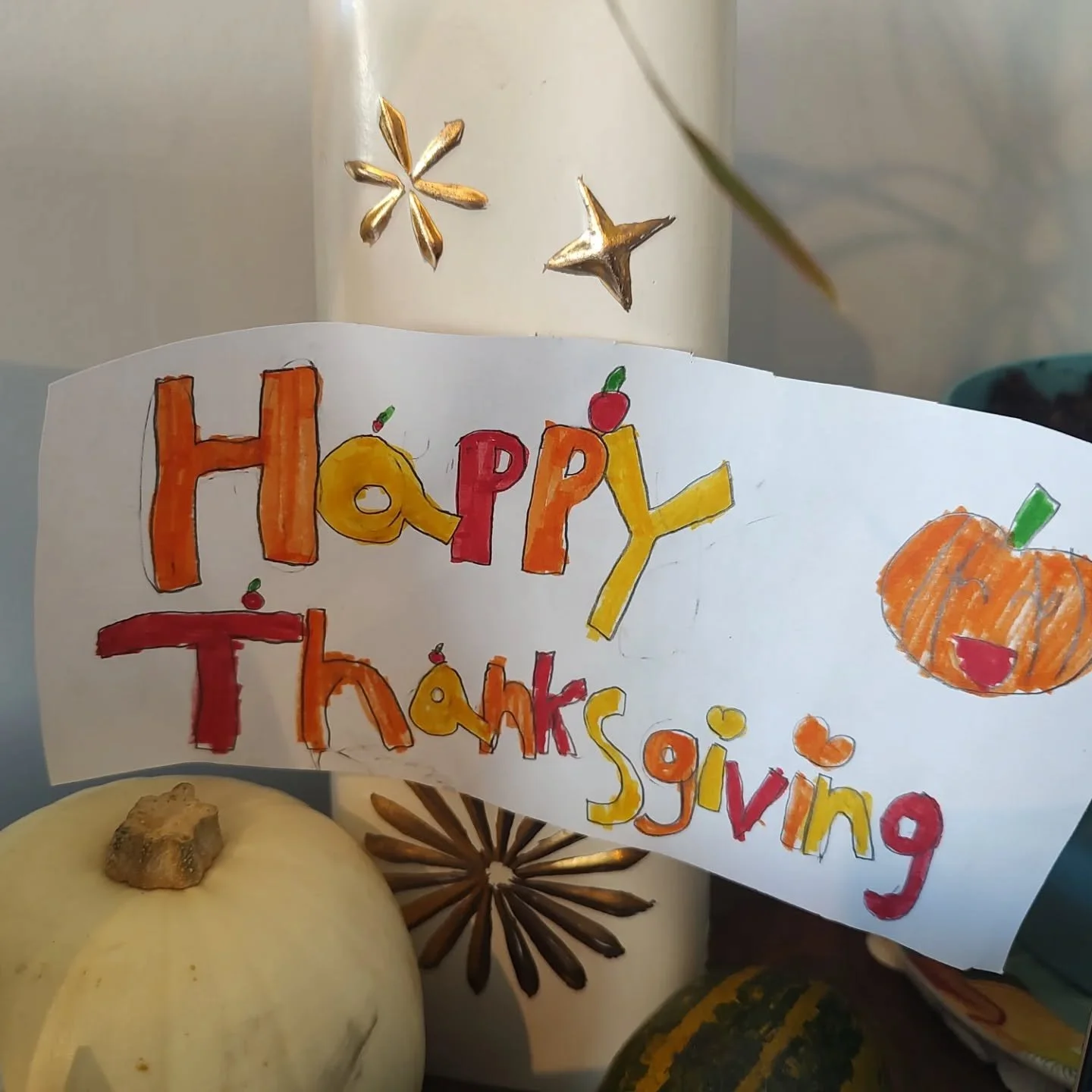 What a lovely Thanksgiving 🦃🍽️🥰 Celebrating with my sister in her new home. It felt so good to be with family.