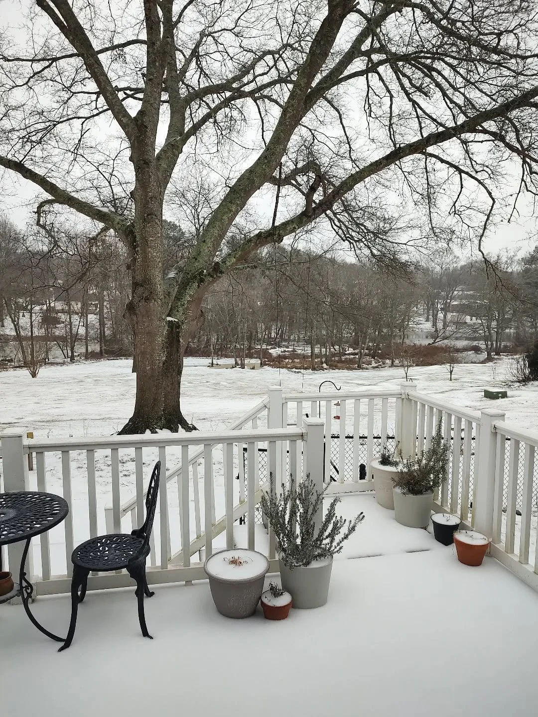 So beautiful 😍 too bad it's not light and fluffy and freezing rain is falling on it now😆