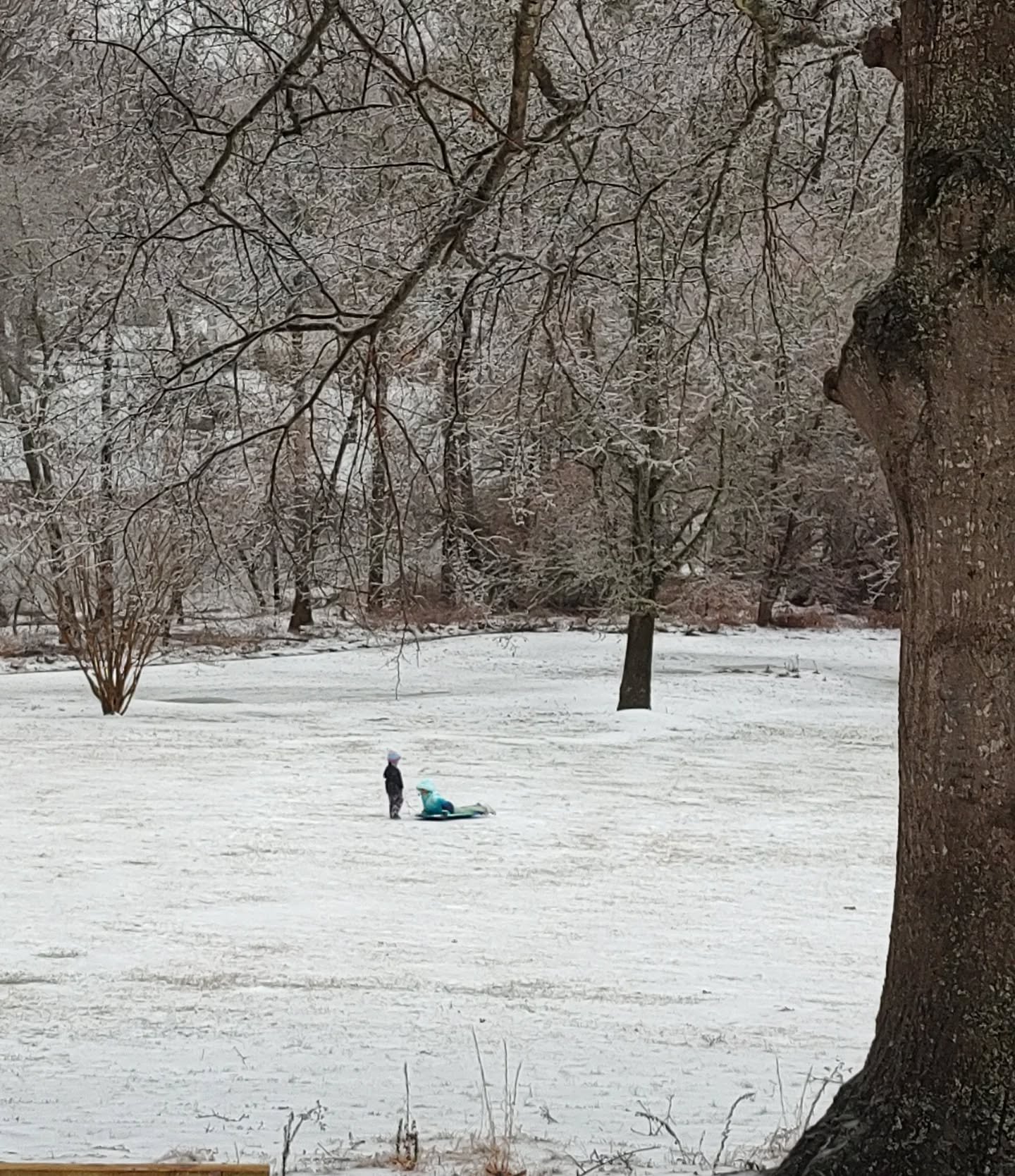 Oh what fun they had 🥰❄️