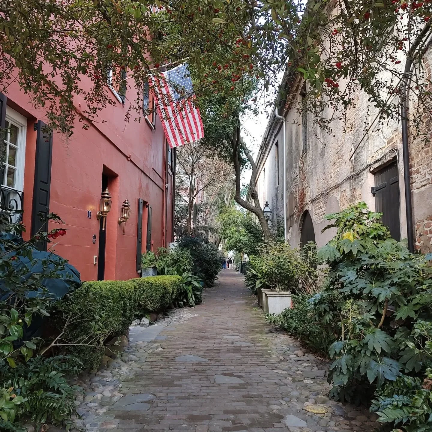 What a lovely day in Charleston 🥰