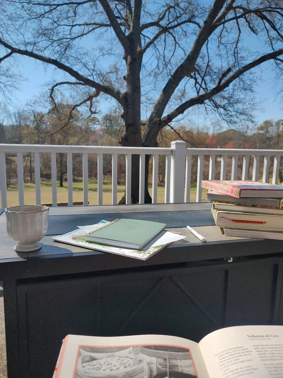 Coffee and cookbooks in the Sunshine - one of my most favorite things ✨
.
.
#coffeeandcookbooks #coffeeinthesunshine #springtime #spring