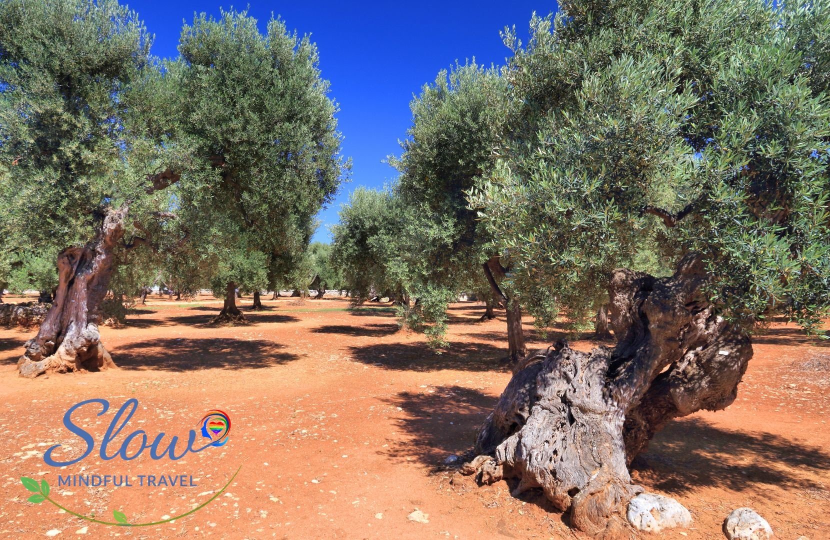 Slow Travel in Puglia: Discovering the Soul of Southern Italy with VoomaGo