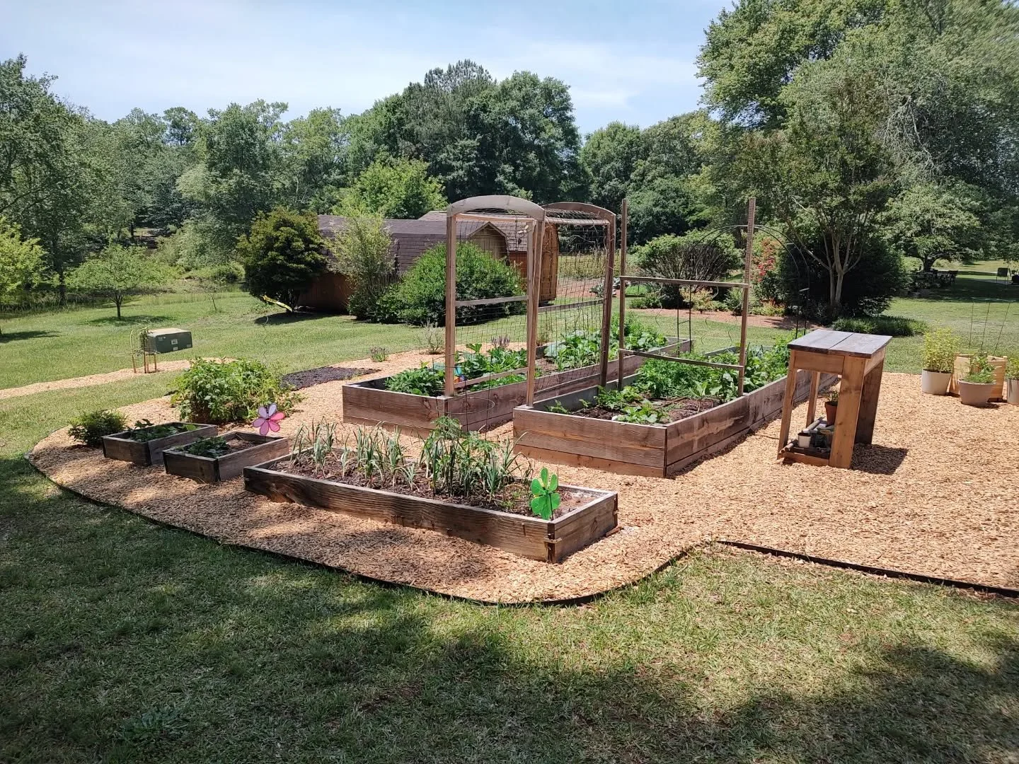 We've been working hard on our garden this year😍 it is so much work but worth it😁!!