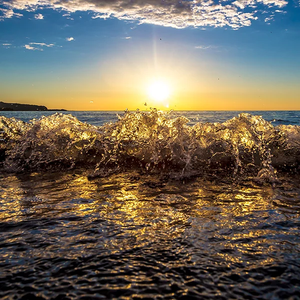 SShores-34.jpg