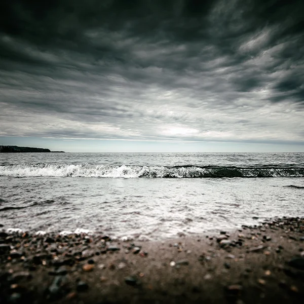 SShores-158.jpg