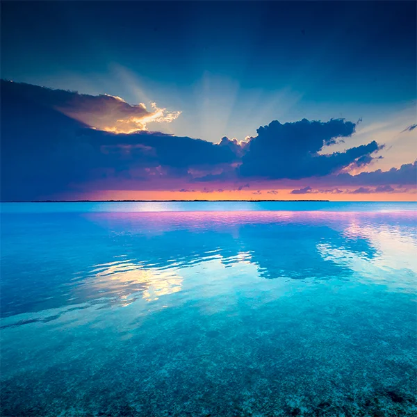 blue.jpg