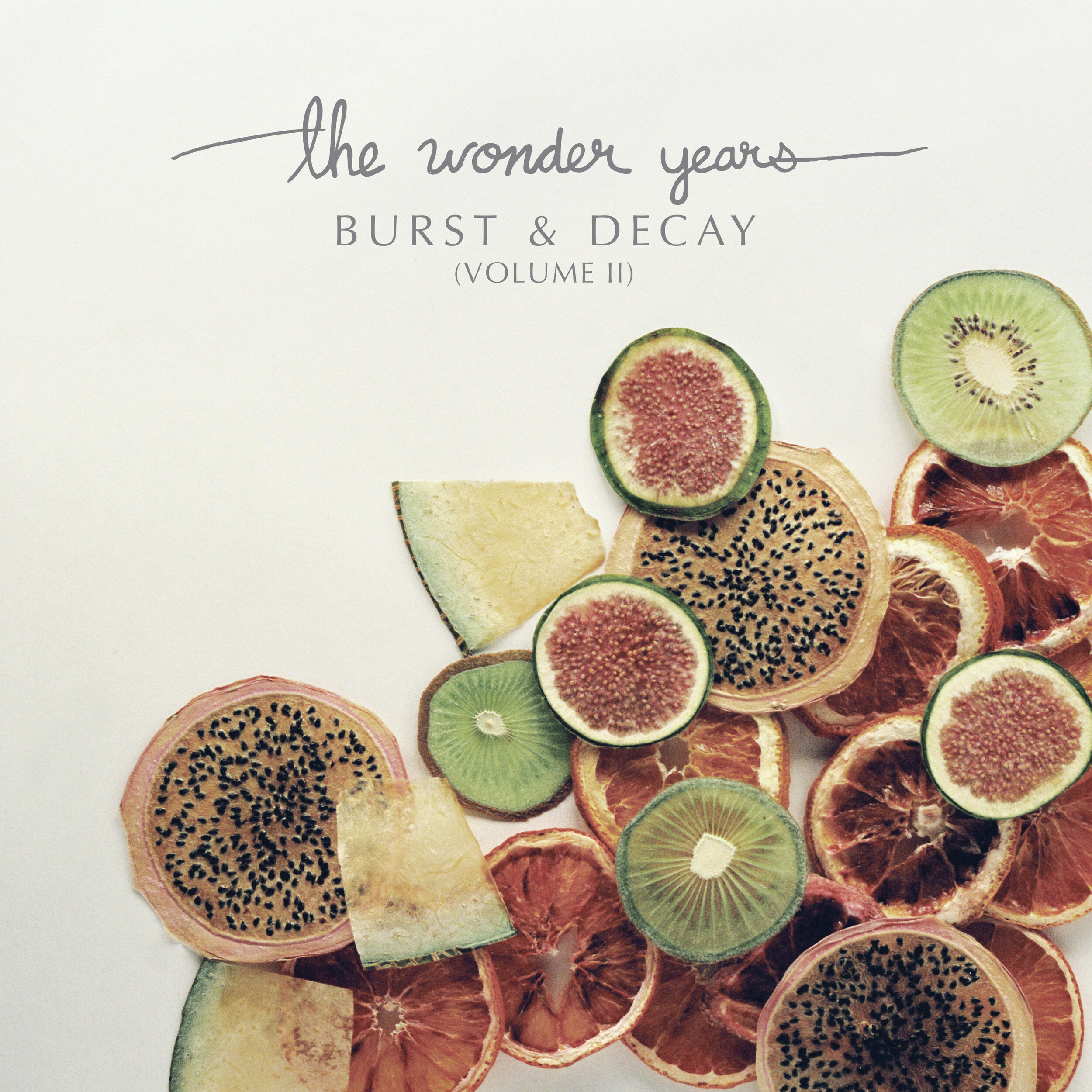 The Wonder Years - Burst &amp; Decay Volume II