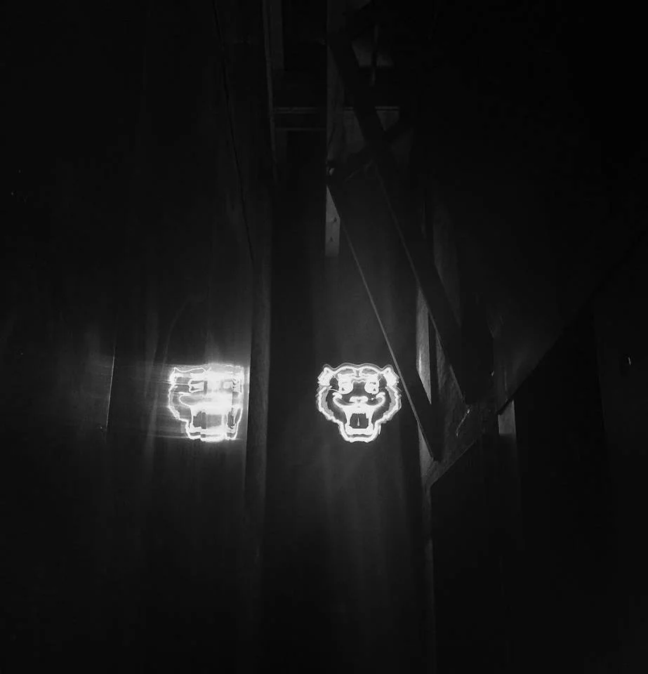 tiger tiger burning bright