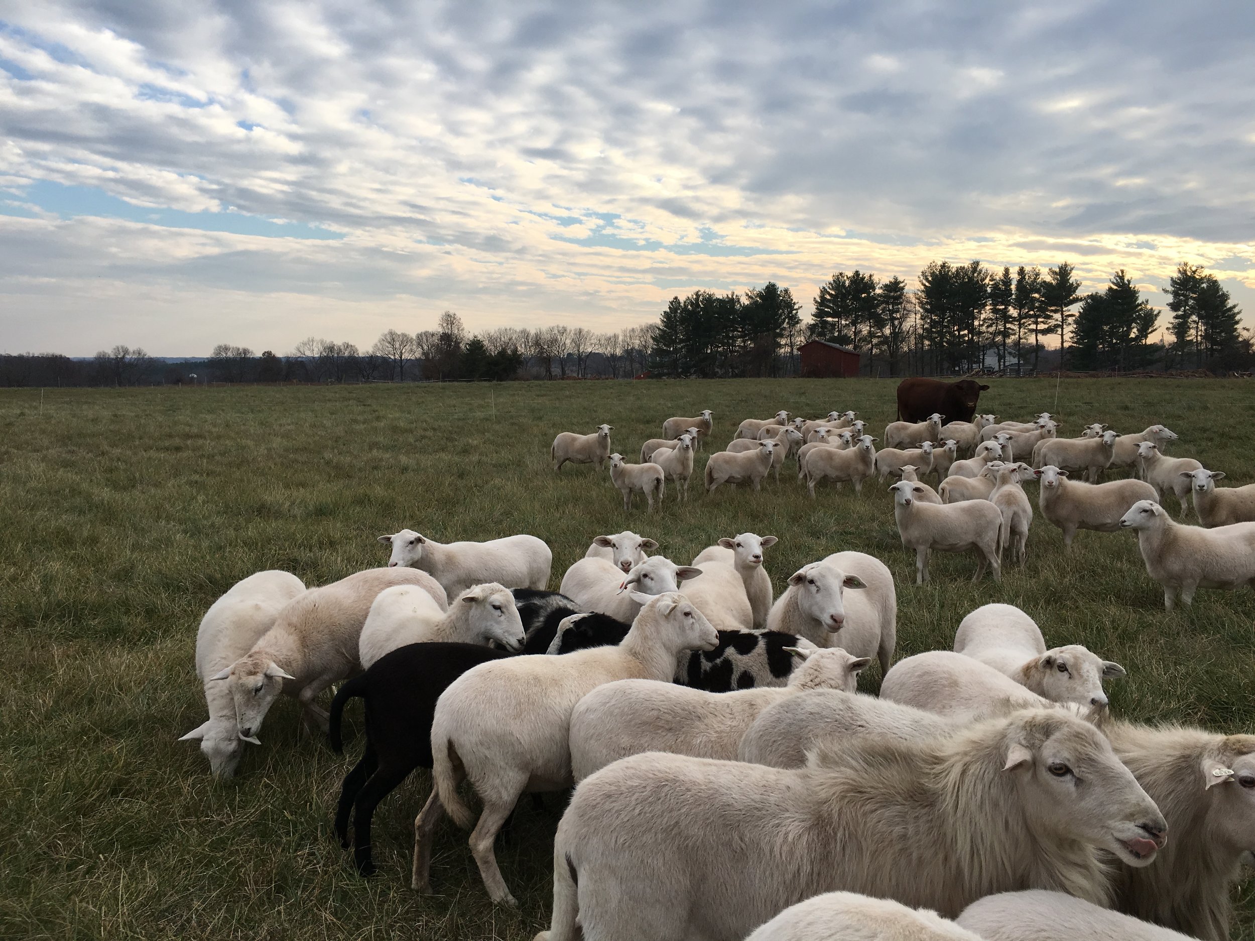 2016-11-24 14.52.51.jpg