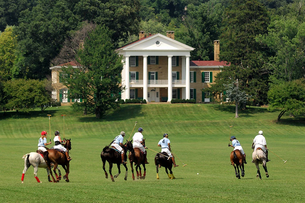 Polo at Bryn Du