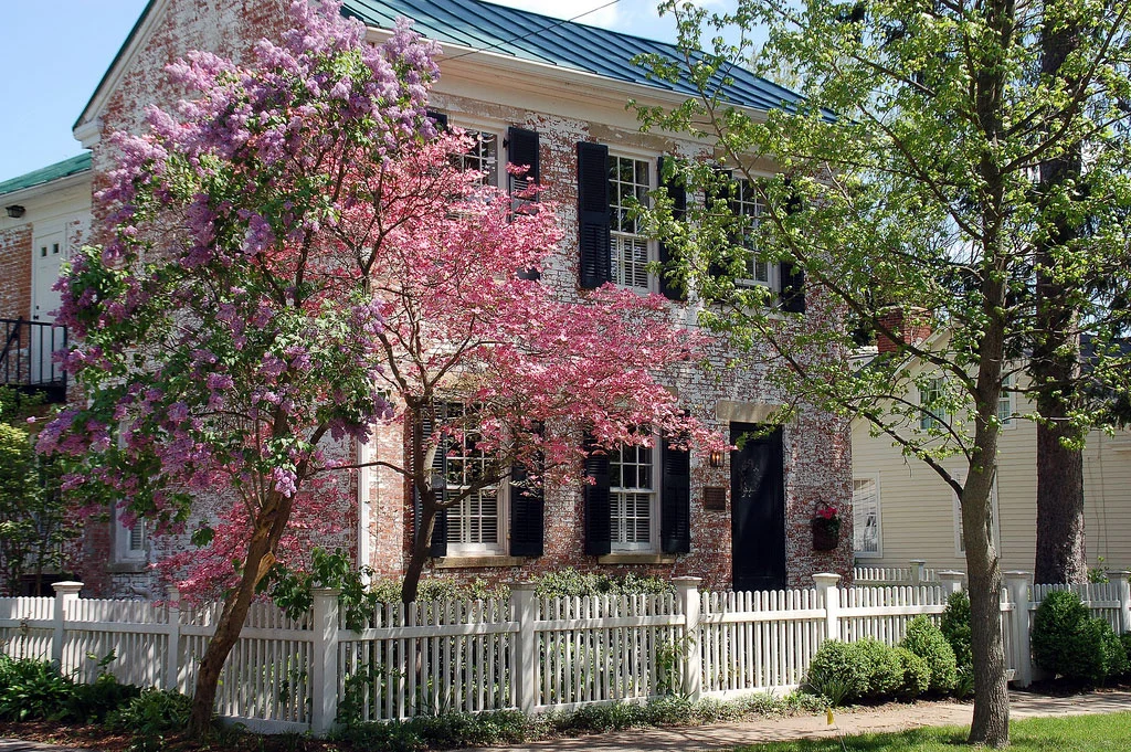 Spring on East Elm Street (Photo by kewing@flickr.com)