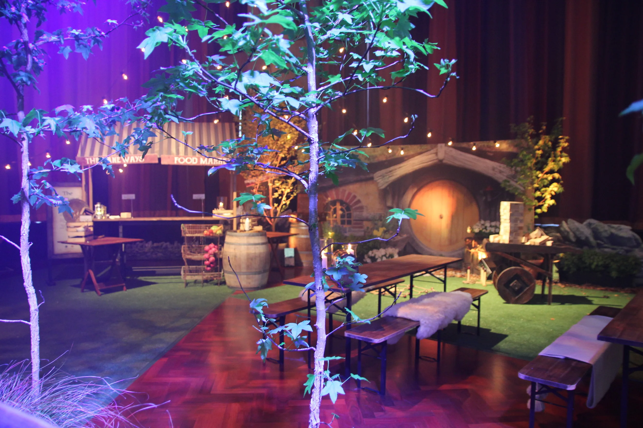 Middle Earth comes to life