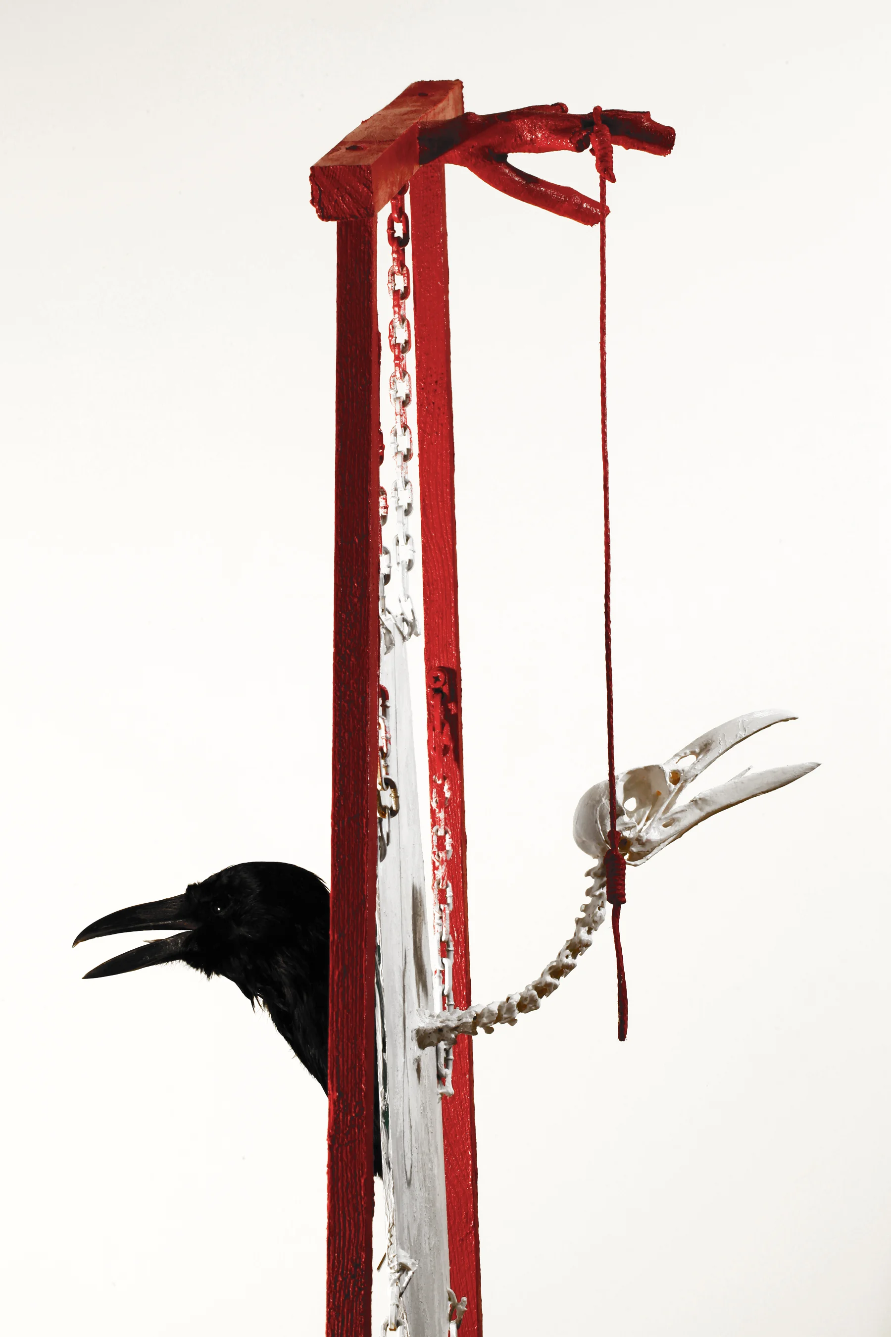  Redoor, 2014  100 × 40 × 40 cm  specimens, acrylic, mirror, chains, wood    