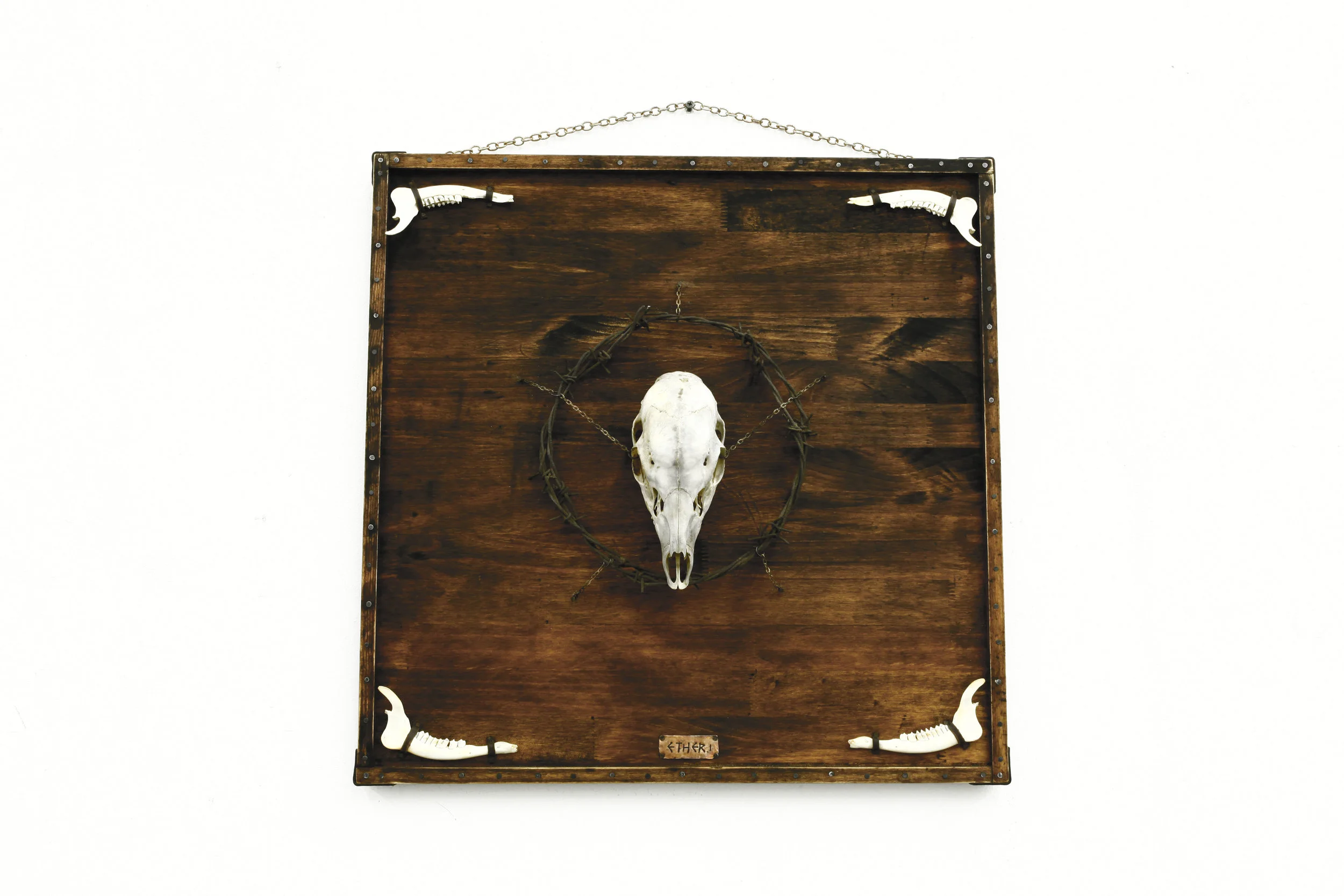     Ether-I, 2015  organic remains, industrial wastes  60 × 60 cm    