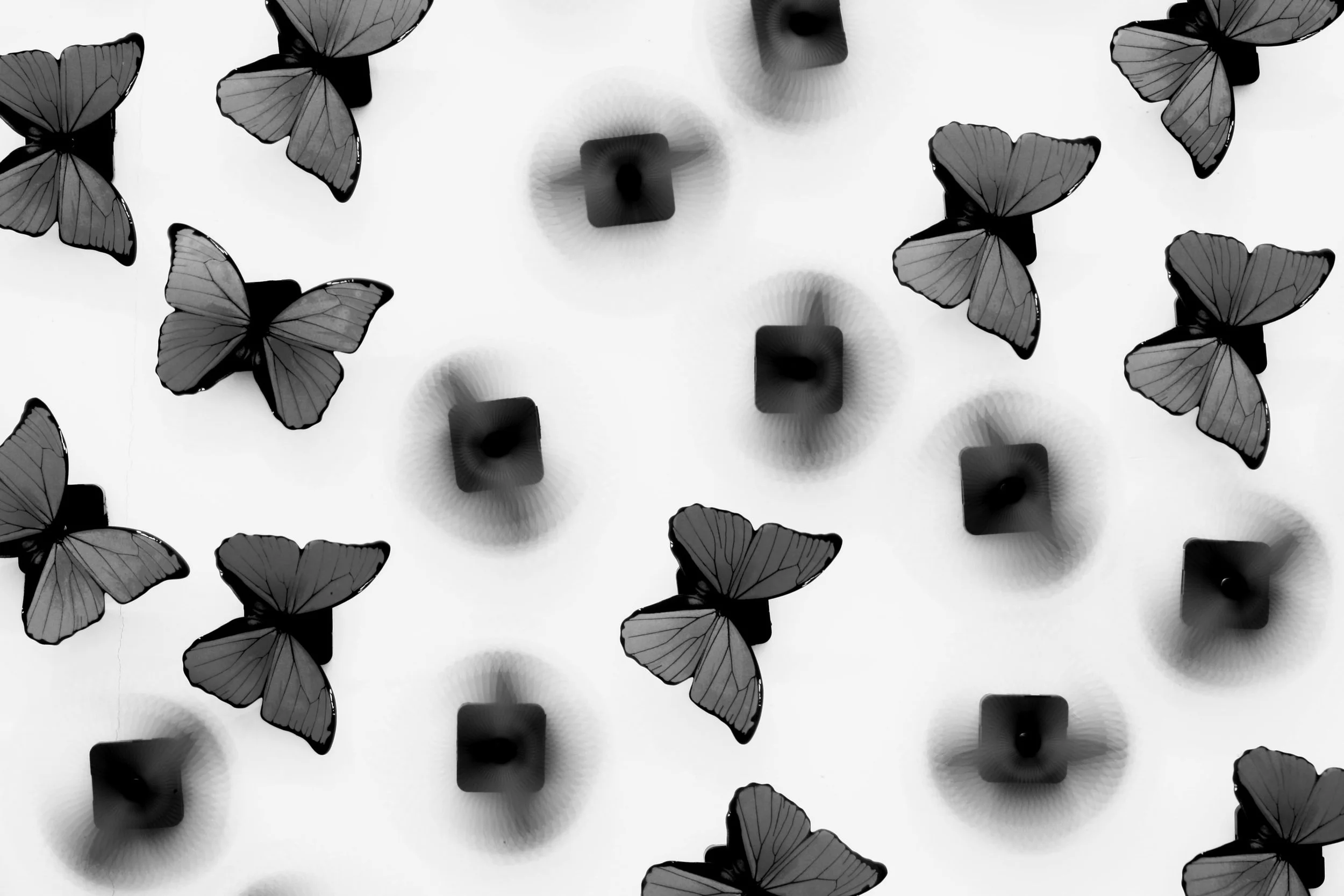  The first installation I saw (7 years ago), I had thought about the question on the wall till Oct this year. 