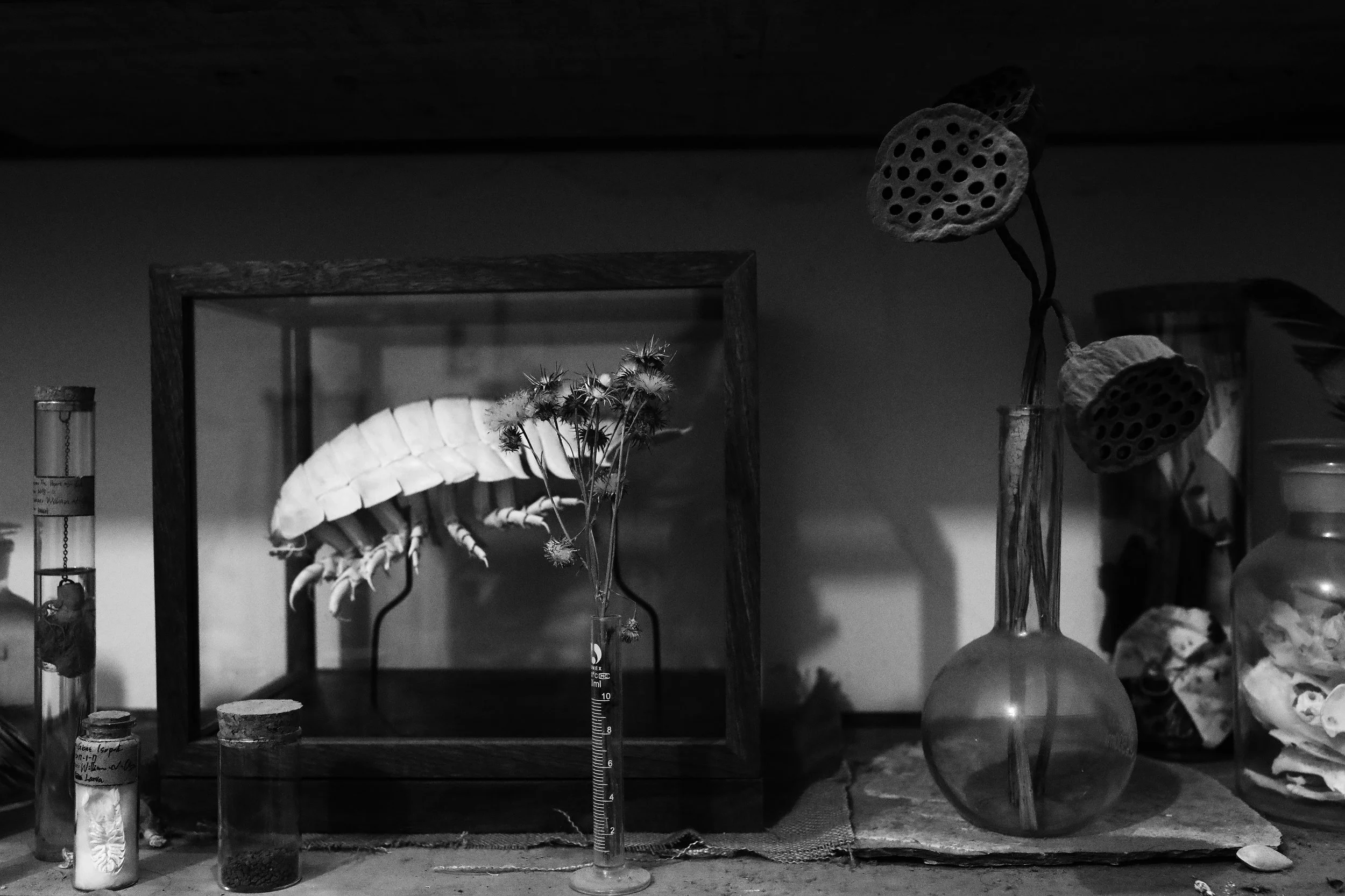  the last package stuff in my studio 