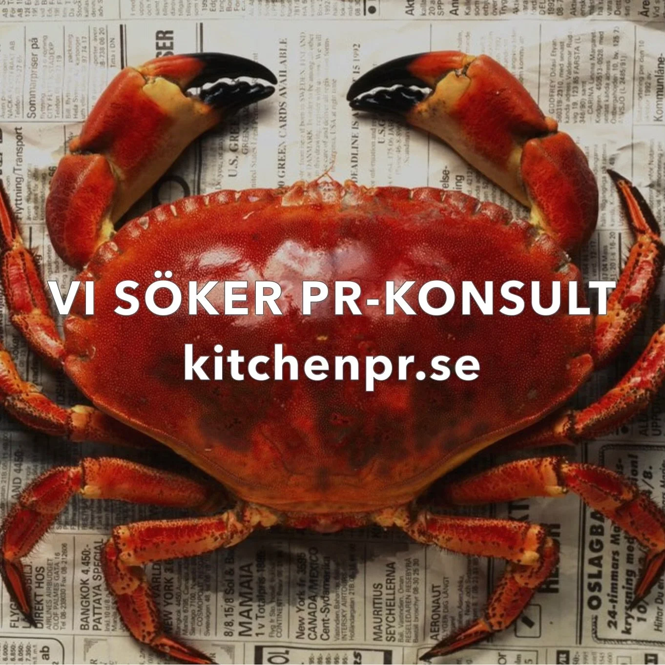 Vi söker PR-konsult, läs mer via länk i bio!