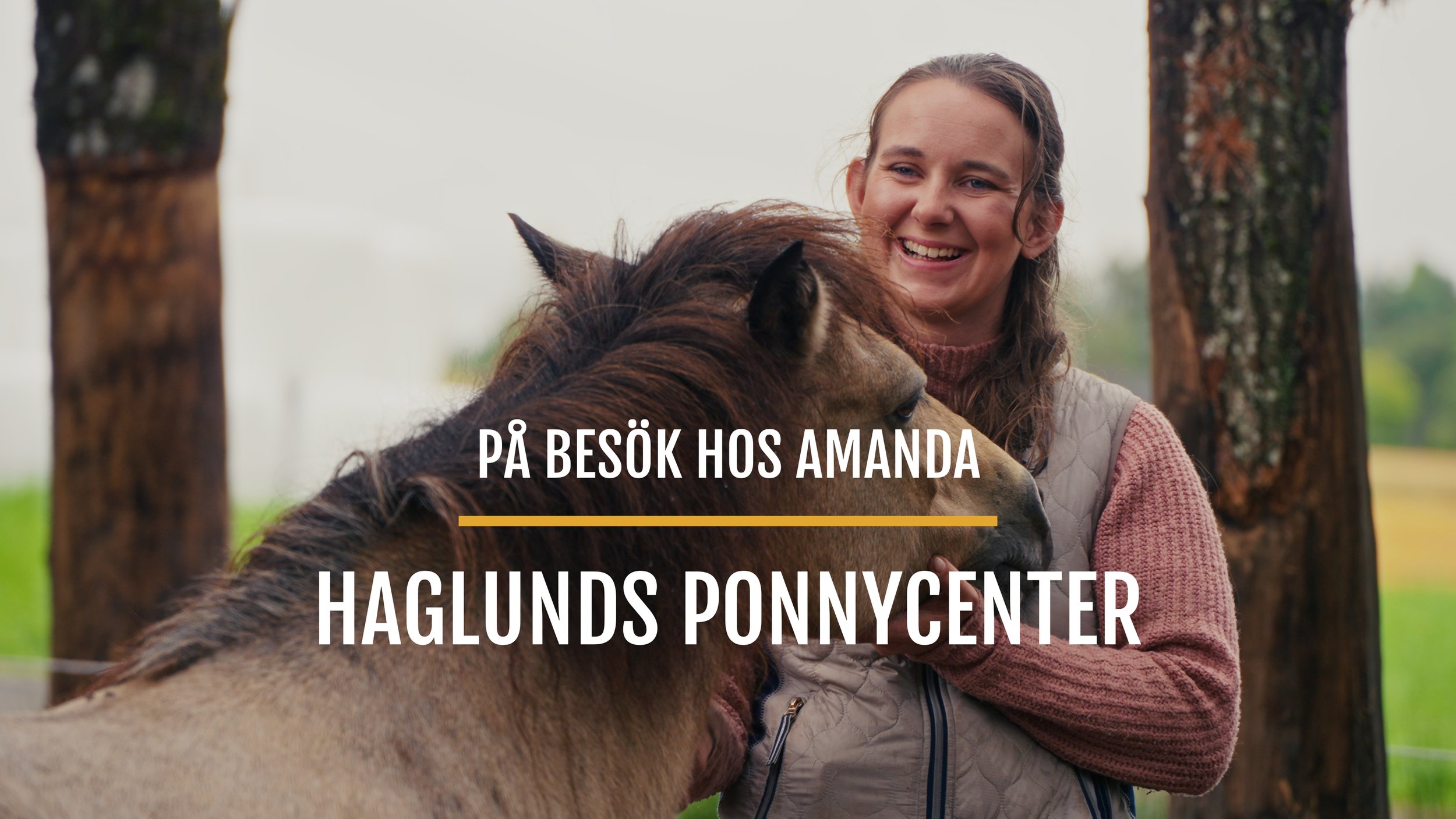 LEADER - På besök hos Amanda - Haglunds Ponnycenter