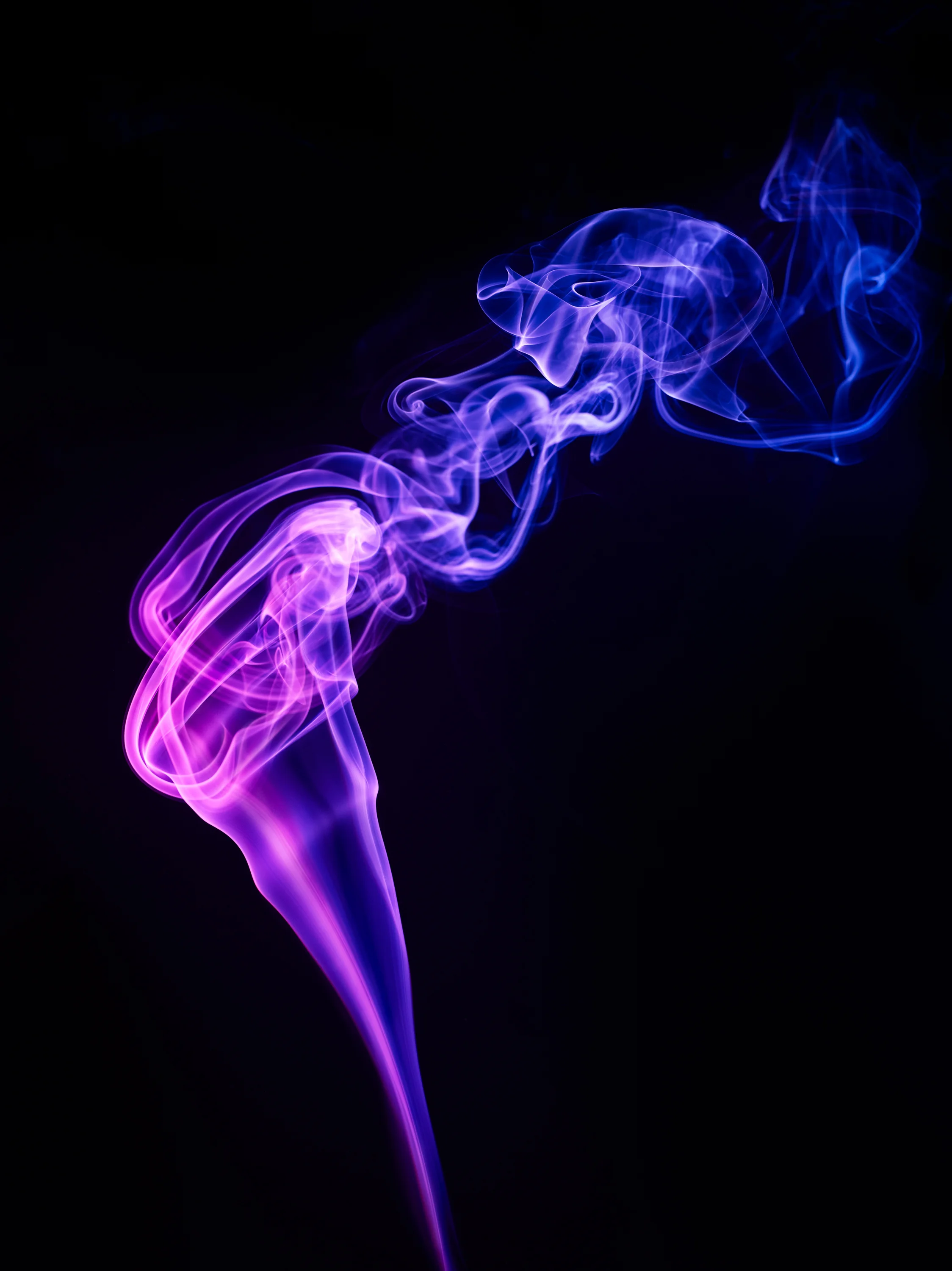 Smoke Still Life by Sam Riley7.jpg