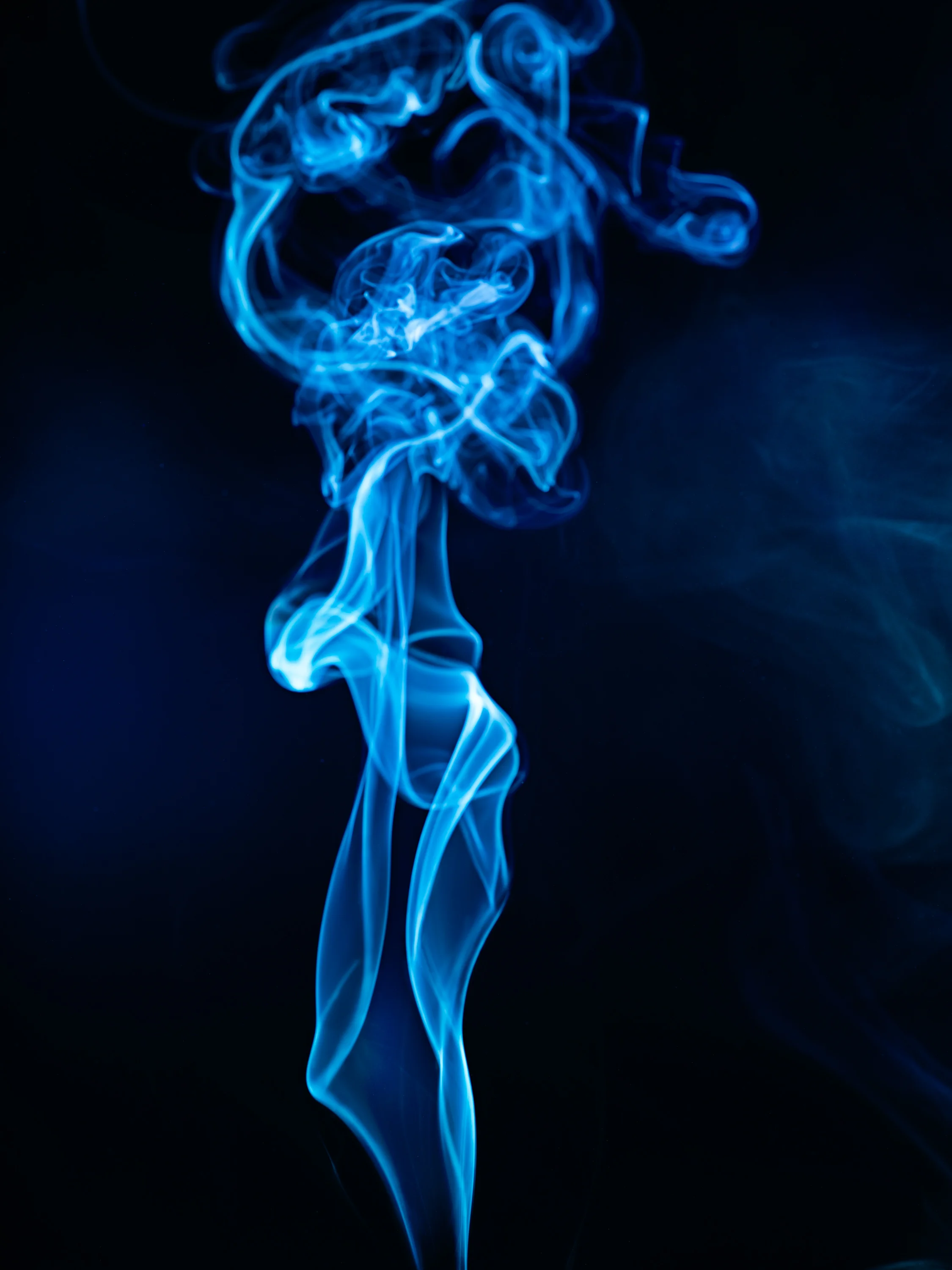 Smoke Still Life by Sam Riley20.jpg