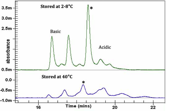 Figure 3. GST electropherogram showing the separation of the Infliximab sample stored at 2-8°C and the sample stored at 40°C for a prolonged period. The main peak is marked with an asterisk.