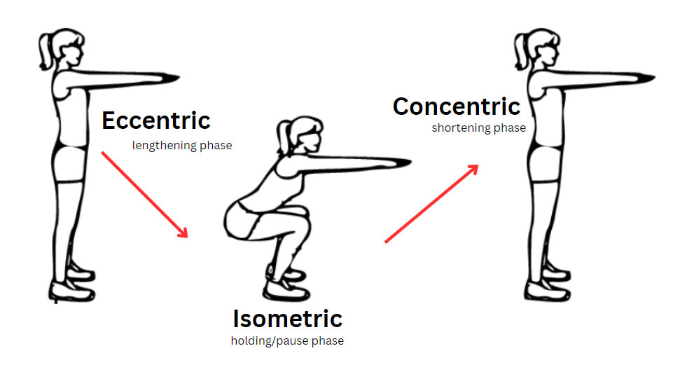 Eccentric Training And Why It's Important!