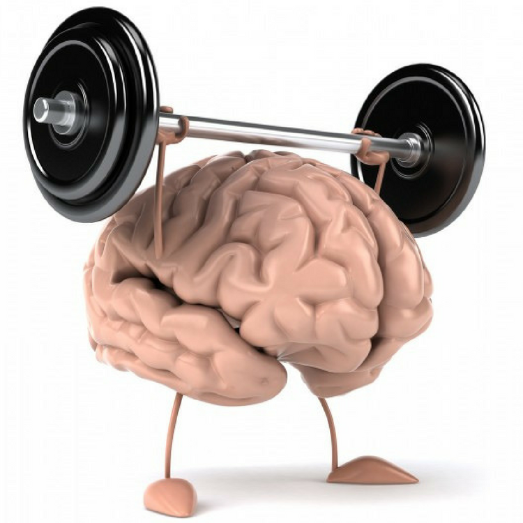 Mind-Muscle Connection - Part 2